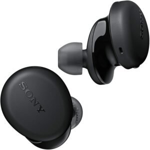 Sony WF-C500 Earbuds
